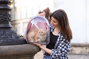 Sırt çantasında kedisiyle şehir caddesinde gezen bir kadın.