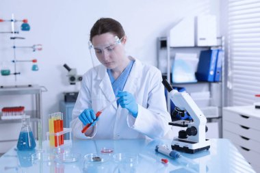 Laboratuvardaki masada Petri kabında numuneyle çalışan bilim adamı