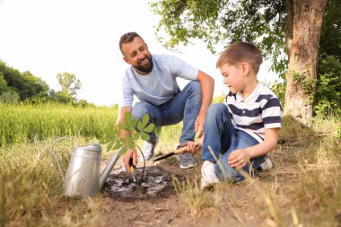 Baba ve oğlu dışarıda toprağa ağaç dikiyorlar.