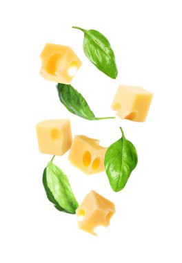 Peynir küpleri ve yeşil fesleğen yaprakları beyaz arka plana düşüyor