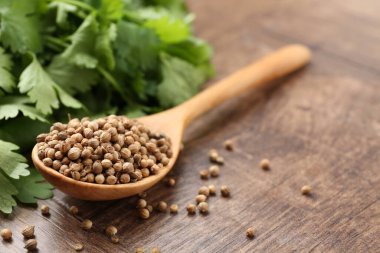 Taze kişniş ve kişniş tohumları ahşap masada, yakın plan. Metin için boşluk