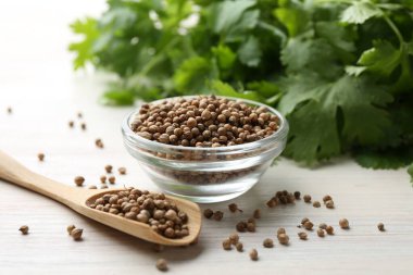 Kase içinde kişniş tohumları, kaşık ve taze kişniş yaprakları açık ahşap masa üzerinde, yakın plan.