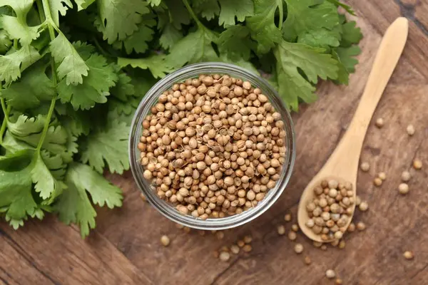 Taze kişniş ve kişniş tohumları ahşap masada, üst manzara