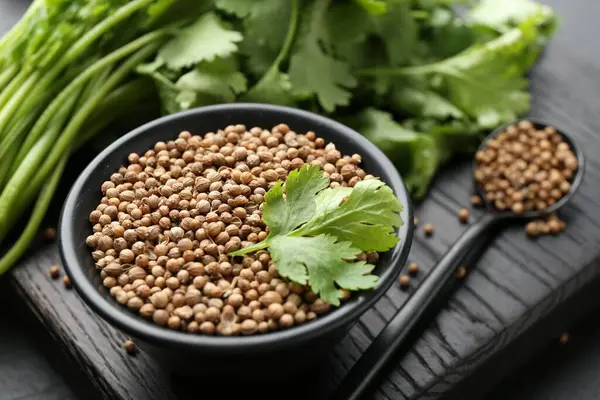 Kase içinde kişniş tohumları, kaşık ve taze kişniş yaprakları karanlık masada, yakın plan.