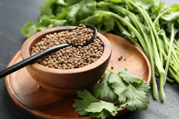 Kase içinde kişniş tohumları, kaşık ve taze kişniş yaprakları koyu dokulu masa, yakın çekim