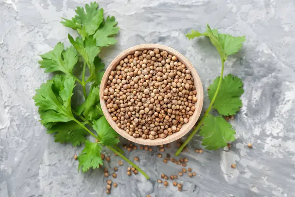 Kişniş tohumu ve taze kişniş filizi gri desenli masa, düz uzanmış