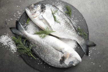 Organik deniz ürünleri. Taze çiğ dorado balığı, gri masada tuz ve dereotu.