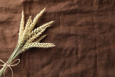 Kahverengi kumaş üzerinde buğday çivileri, üst manzara. Metin için boşluk