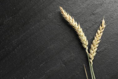 Siyah masanın üzerinde buğday çivileri var, düz yerde. Metin için boşluk