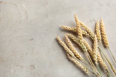 Açık gri masadaki bir sürü buğday çivisi düzdü. Metin için boşluk