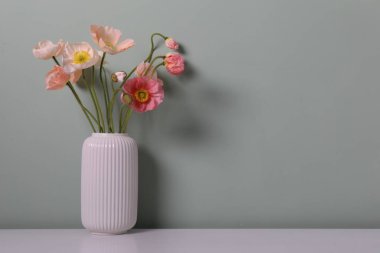 Gri arka planda, ışık masasındaki vazoda duran güzel gelincik çiçekleri, yakın plan. Metin için boşluk