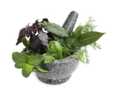 Havan mermisi ve farklı taze otlar beyaza izole edilmiş.