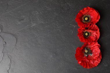 Siyah arka planda parlak kırmızı gelincik çiçekleri, düz yatıyordu. Metin için boşluk