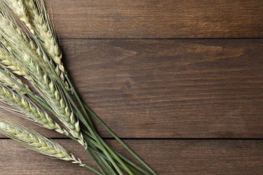 Tahta masadaki yeşil buğday çivileri düzdü. Metin için boşluk