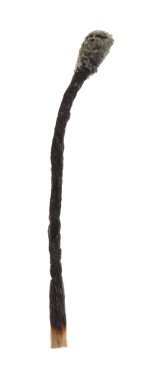 Yanmış bir kibrit beyazda izole edilmiş. Yangın başlatmak için araç