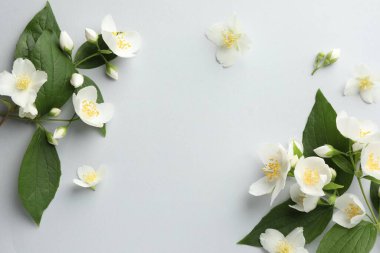 Işık arka planında yaprakları olan güzel yasemin çiçekleri, düz yatıyordu. Metin için boşluk