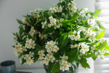 Güzel yasemin çiçekleri evde, yakın çekim manzarası