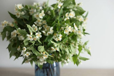 Güzel yasemin çiçekleri vazonun içinde, masa içinde, yakın plan.