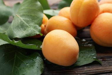 Taze kayısılar ve ıslak yapraklar ahşap masada, yakın plan.