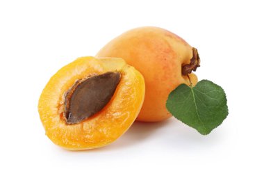 Taze taze kayısılar ve beyaz yapraklı yeşil yapraklar.