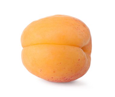 Taze olgun bir kayısı beyazda izole edilmiş.