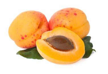 Taze kayısılar ve yeşil yapraklar beyaz üzerine izole edilmiş.