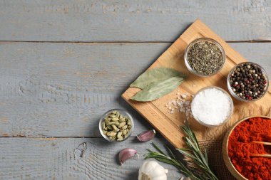 Gri ahşap masadaki farklı aromatik baharatlar. Metin için boşluk