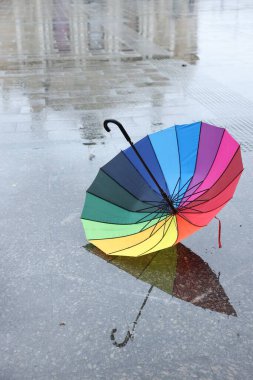 Islak asfaltta renkli bir şemsiye.