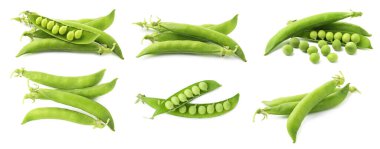 Taze yeşil bezelyeler ve kabuklar beyaz üzerine izole edilmiş.