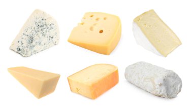 Beyaza izole edilmiş farklı peynir türleri.