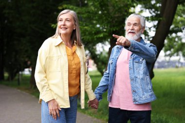 Parkta birlikte yürüyen sevimli yaşlı çift.