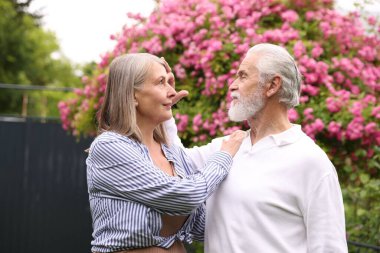 Güzel yaşlı çift, açık havada pembe gül çalılarının yanında.