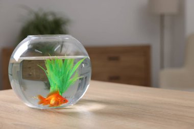 Akvaryumdaki akvaryumdaki balıklar içeride. Metin için boşluk