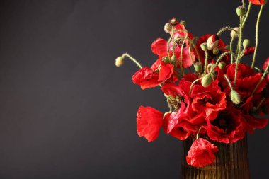 Siyah arka planda vazoda güzel kırmızı gelincik çiçekleri, yakın plan. Metin için boşluk