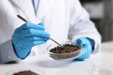 Bilim adamı, laboratuardaki beyaz masada araştırma yapmak için toprak örneği alıyor.