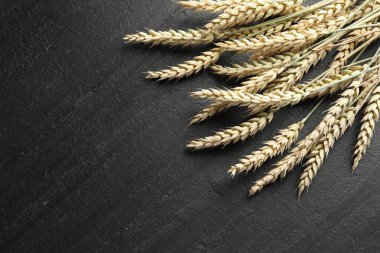 Siyah masada bir sürü buğday çivisi var, düz yerde. Metin için boşluk