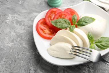 Lezzetli mozzarella peyniri, domates ve fesleğen, yakın plan. Metin için boşluk