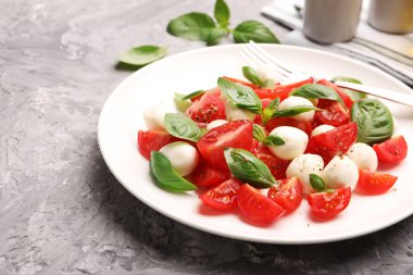 Peynirli Caprese salatası, domates, fesleğen ve baharat, yakın plan. Metin için boşluk