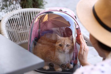 Dışarıdaki kafede, sırt çantalı, sevimli kedisi olan bir kadın.