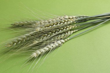 Arkaplanda yeşil buğday başakları, yakın plan