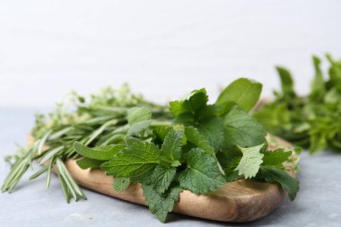 Gri masada farklı yeşil otlar, yakın plan.