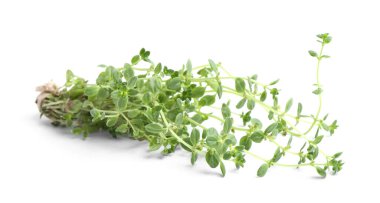 Beyaz üzerinde izole edilmiş taze yeşil kekik dalları