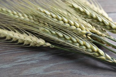 Tahta masadaki yeşil buğday çivileri, yakın plan.