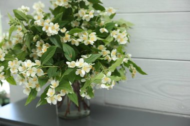 Güzel yasemin çiçekleri vazonun içinde şömine içinde, yakın plan. Metin için boşluk