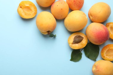 Taze kayısılar ve açık mavi arka planda yeşil yapraklar. Metin için boşluk