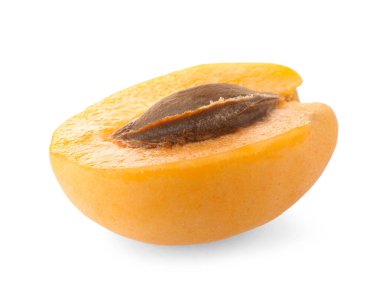 Taze olgun kayısı çekirdeği beyaza izole edilmiş