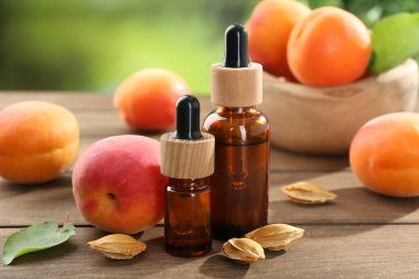 Şişe, tohum, yaprak ve olgun kayısılarda, ahşap masada, bulanık yeşil arka planda, yakın planda, Aromatik gerekli yağ