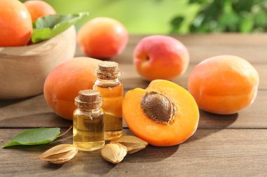 Şişe, tohum, yaprak ve olgun kayısılarda, ahşap masada, bulanık yeşil arka planda, yakın planda, Aromatik gerekli yağ