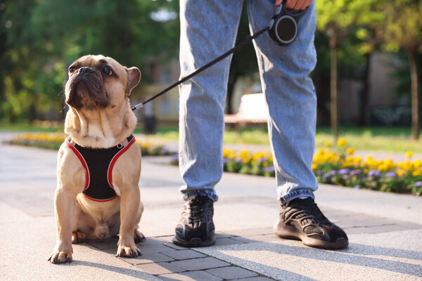 Man with his cute French bulldog in park, closeup