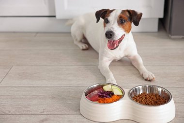 Şirin köpek ve taze doğal ürünlerle dolu kaseler ve evdeki kuru evcil hayvan mamaları. Metin için boşluk